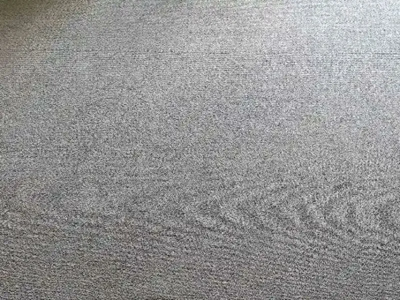 Carpet after professional extraction with a cleaner, more even finish and extraction lines